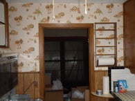 carlson home remodel before