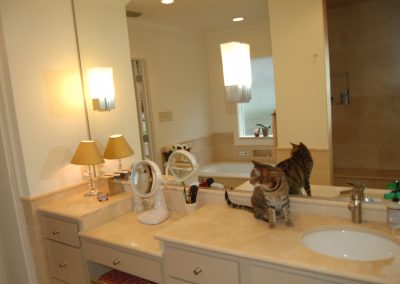 Bathroom with Cat