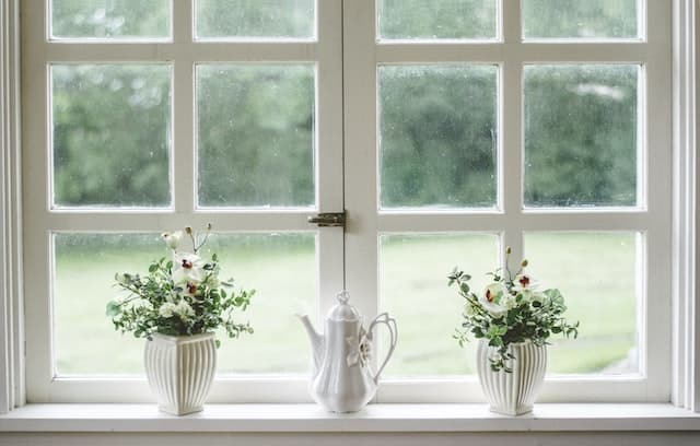 plants sitting on a window sill